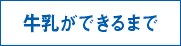 牛乳が出来るまで