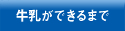 牛乳が出来るまで